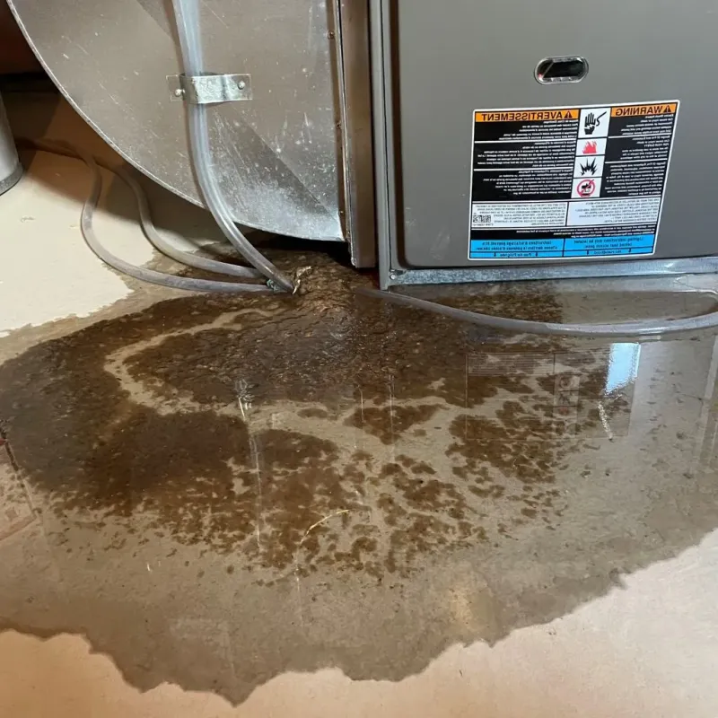 Pipe Burst and Leak Restoration in Sodus, NY
